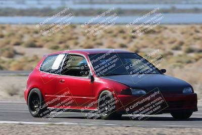 media/Oct-24-2025-Doghouse Garage (Fri) [[783d2ff07a]]/1-Advanced/Session 2 Turn 5 Tree of Life/